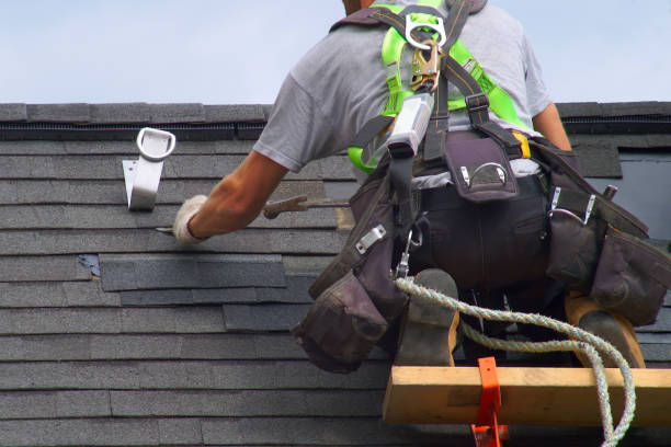 Best Roof Gutter Cleaning  in Linden, NJ